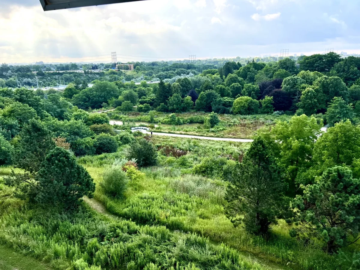 The scenery of campus.